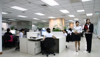 布心學校裝修店鋪裝修以質(zhì)量創(chuàng)口碑