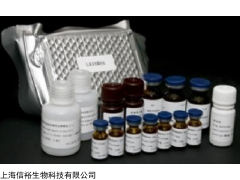 Cyclin-D2檢測試劑盒(小鼠) | 上海信裕生物科技供應產品