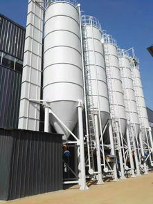 德興瓷磚膠廠家供應(yīng) 佛山市托肯建材有限責(zé)任公司打造優(yōu)質(zhì)建筑材料